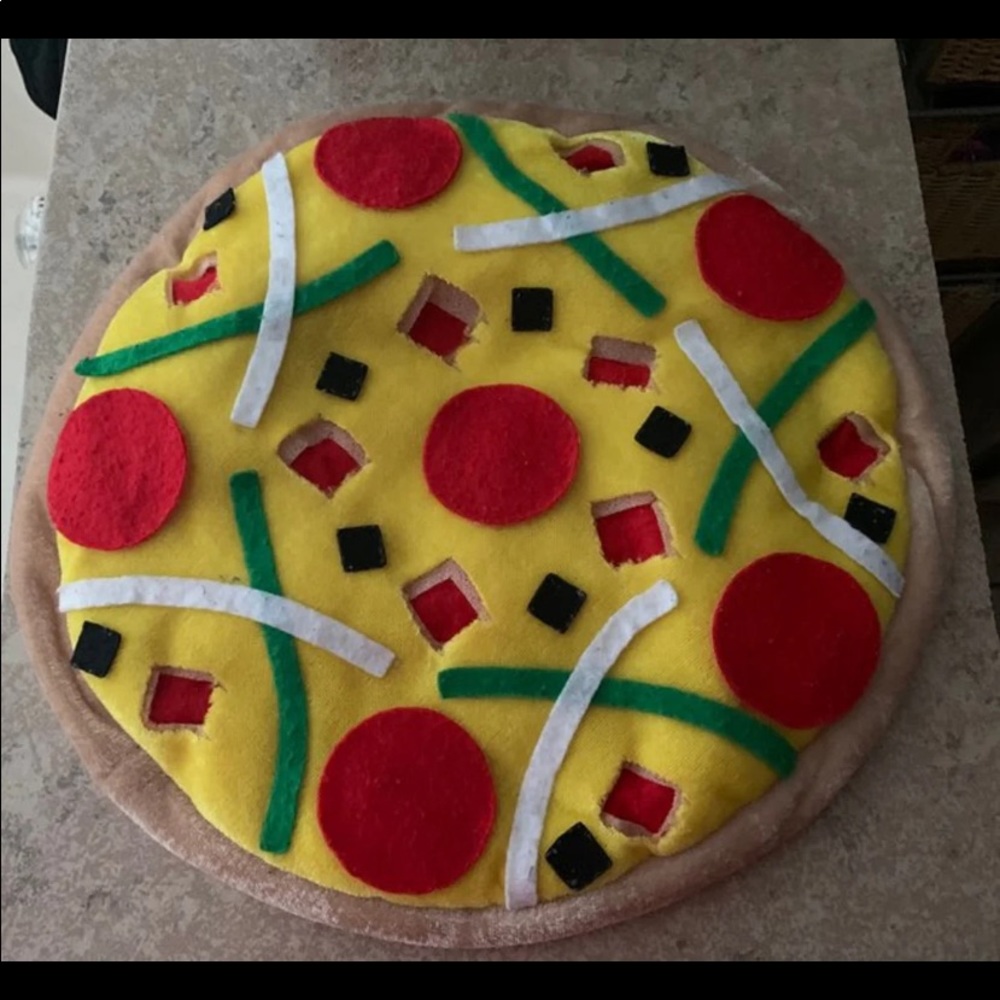 Funny Pizza Hat. One Size Fits Most